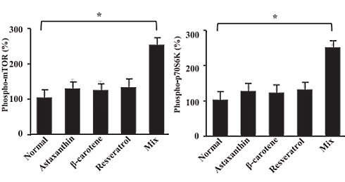 astaxanthin-beta-carotene-resveratrol-muscle-mice-study-2.gif