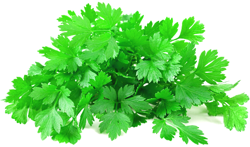 parsley-herb-pic.jpg