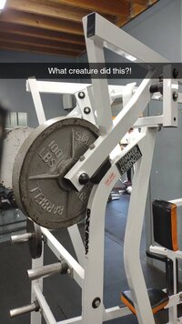 Snapchat-791764706.jpg Snapchat-791764706.jpg