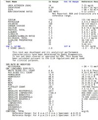 Screenshot_20240408-151045.jpg