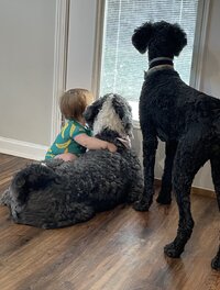 IMG_1191.jpeg