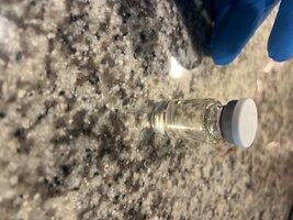 IMG_9307.jpeg