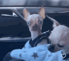 IMG_8662.gif