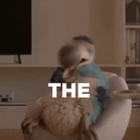 1759617993496.gif
