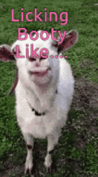 IMG_8887.gif