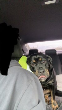 IMG_7246.jpeg