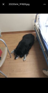 IMG_7250.jpeg