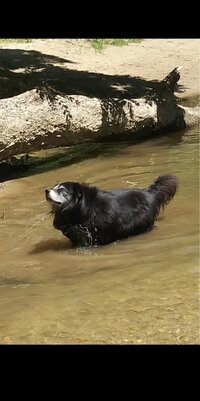 IMG_7249.jpeg