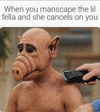 1000035635.jpg