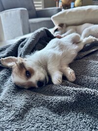IMG_1566.jpeg