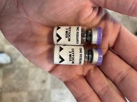 IMG_2892.jpeg