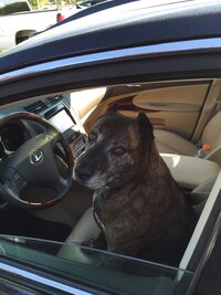 IMG_1080.jpeg