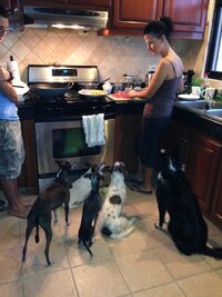 IMG_0416.jpeg IMG_0416.jpeg