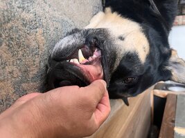 IMG_3813.jpeg