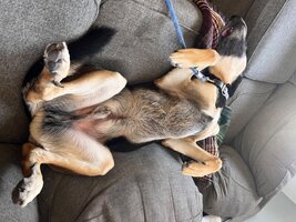 IMG_4439.jpeg