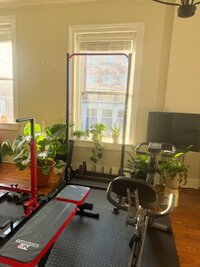 IMG_8737.jpeg