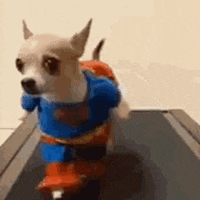IMG_9245.gif