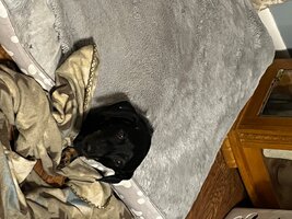 IMG_8314.jpeg