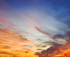 20251117_170506(1).jpg 20251117_170506(1).jpg