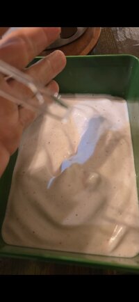 Screenshot_20251119_204221_Gallery.jpg Screenshot_20251119_204221_Gallery.jpg