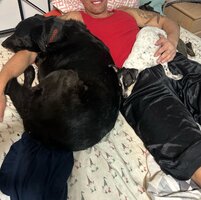 IMG_4374.jpeg