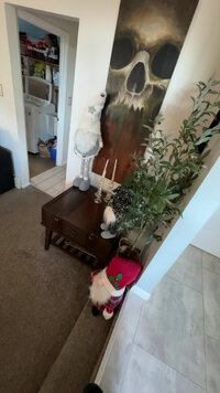 IMG_7784.jpeg IMG_7784.jpeg