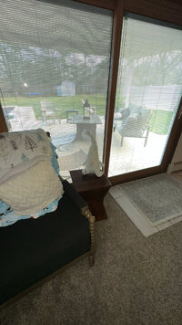 IMG_7785.jpeg IMG_7785.jpeg