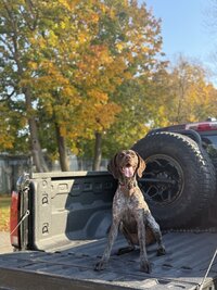 IMG_6225.jpeg