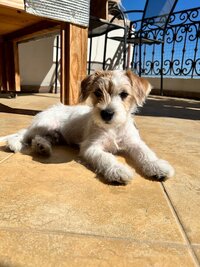 IMG_3443.jpeg