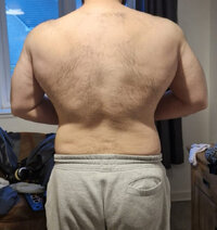 bulk2.jpeg bulk2.jpeg