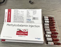 IMG_6394.jpeg IMG_6394.jpeg