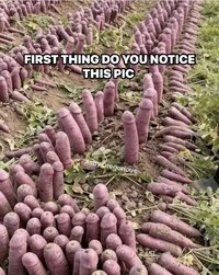 IMG_0801.jpeg