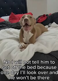Screenshot_20260506_102225_YouTube(1).jpg