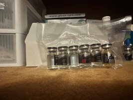 IMG_2920.jpeg