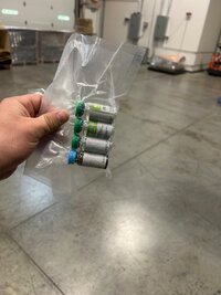 IMG_8247.jpeg