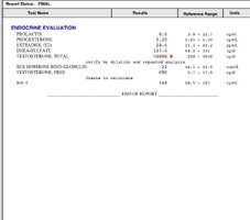 IMG_2801.jpeg