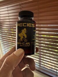 IMG_1948.jpeg