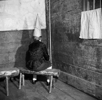 dunce-orlando.webp