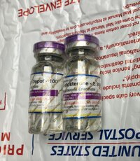 IMG_5137.jpeg
