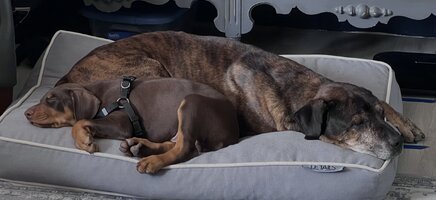 IMG_0695.jpeg