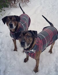 IMG_0751.jpeg