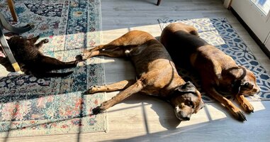 IMG_0753.jpeg