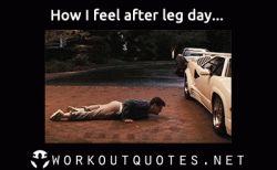 gym-memes-how-i-feel-after-leg-day.gif