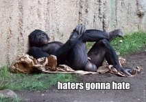 haters-gonna-hate-monkey-cross.jpg