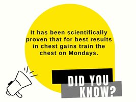 WhatsApp Image 2022-10-08 at 6.25.40 PM.jpeg