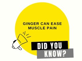 DID YOU KNOW.jpeg