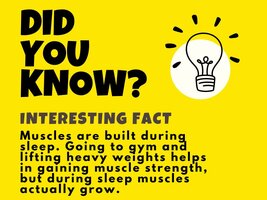 DID YOU KNOW.jpeg