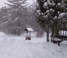 IMG_20230304_085223430~5.jpg