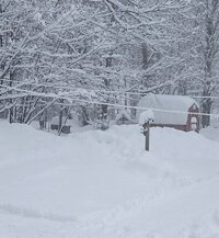 IMG_20230314_121020470~2.jpg