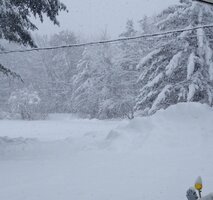 IMG_20230314_121358745~2.jpg